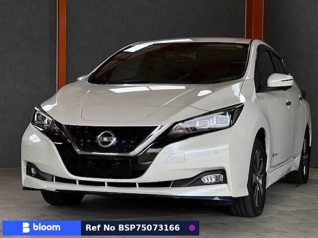 2019 Nissan Leaf