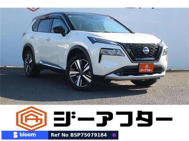 2022 Nissan X-Trail