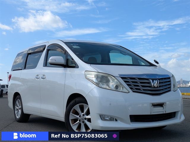 2010 Toyota Alphard