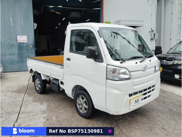 2019 Daihatsu Hijet Truck