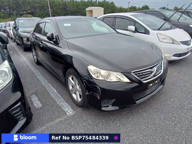 2010 Toyota Mark X