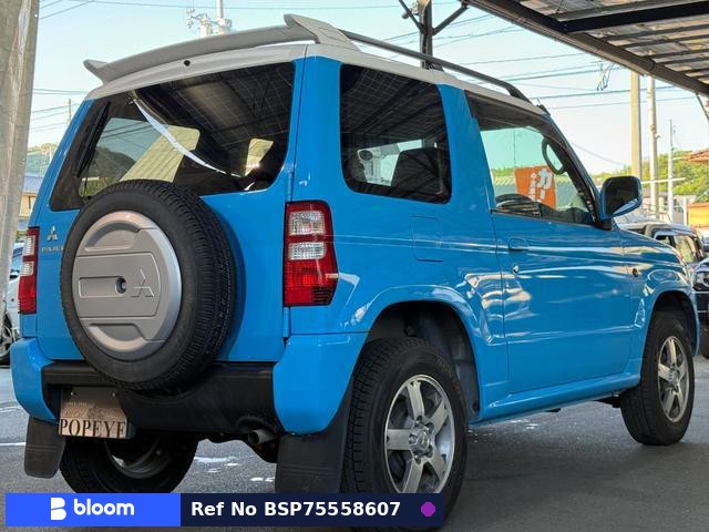 2011 Mitsubishi Pajero Mini