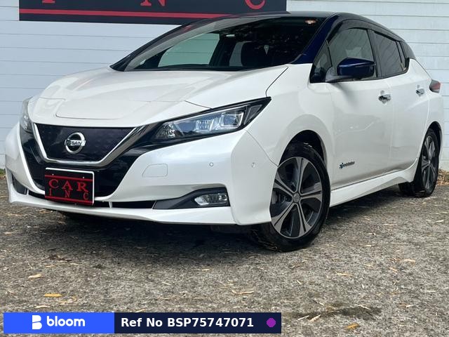 2018 Nissan Leaf