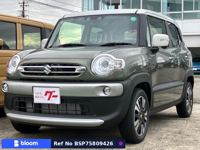 2024 Suzuki X BEE
