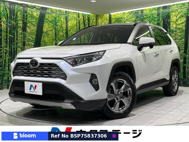 2020 Toyota RAV4
