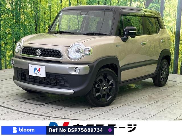 2018 Suzuki X BEE