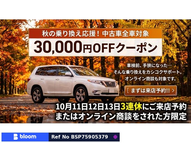 2016 Toyota Estima