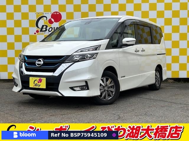 2019 Nissan Serena