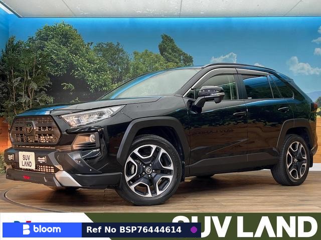 2019 Toyota RAV4