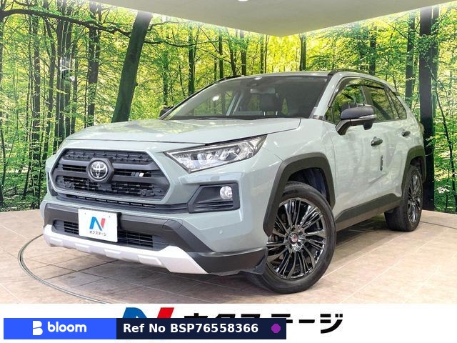2019 Toyota RAV4