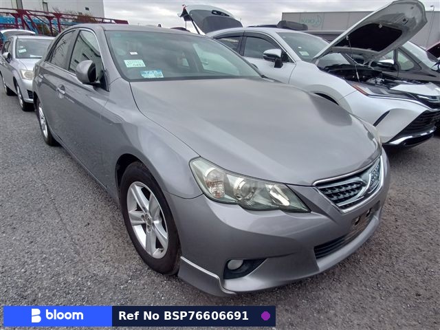 2010 Toyota Mark X