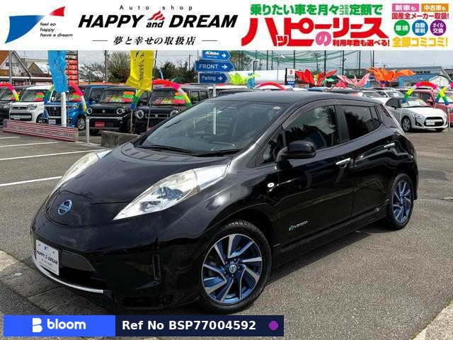 2014 Nissan Leaf