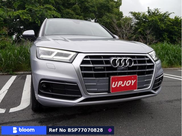 2019 Audi Q5