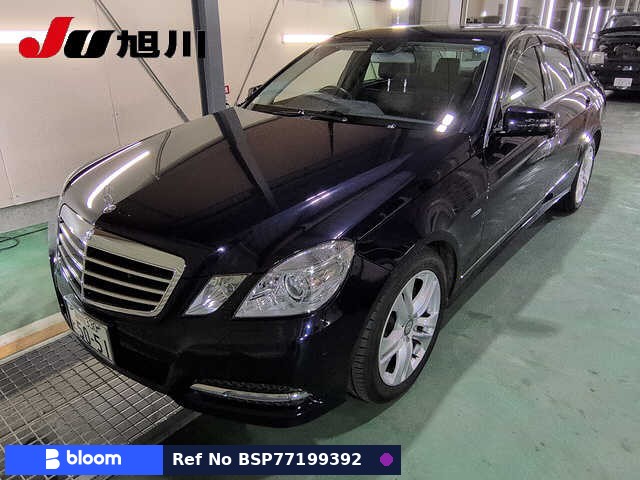 2010 Mercedes-Benz E Class