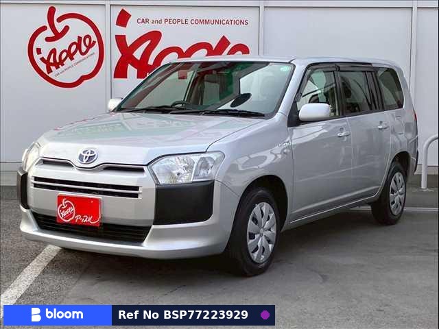 2019 Toyota Succeed Wagon
