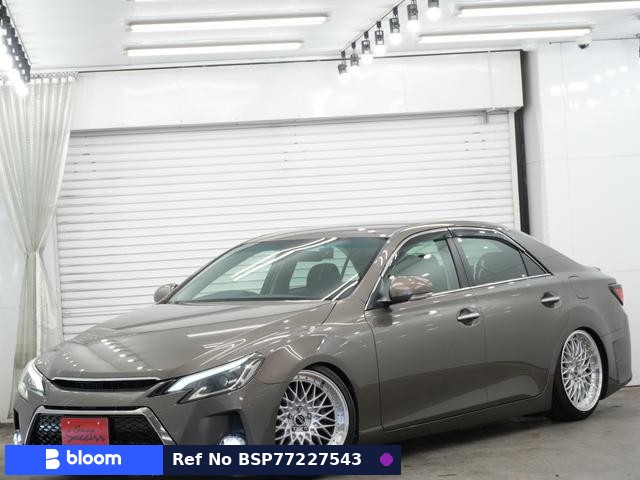 2010 Toyota Mark X