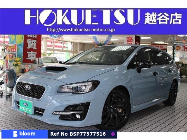 2019 Subaru Levorg