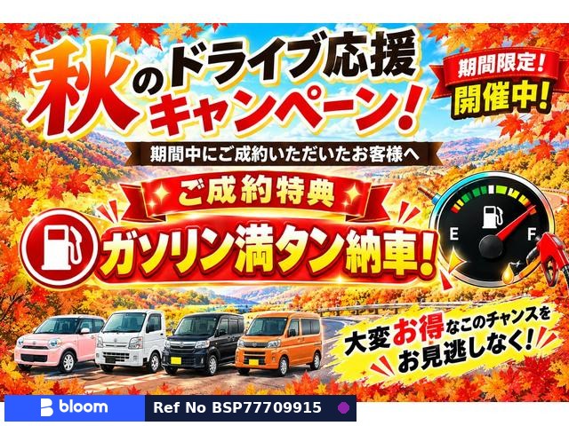 2019 Suzuki Wagon-R