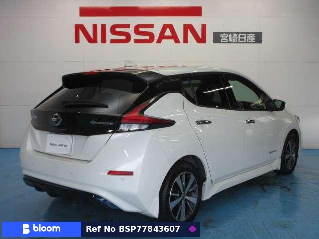 2021 Nissan Leaf