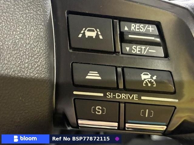 2014 Subaru Levorg