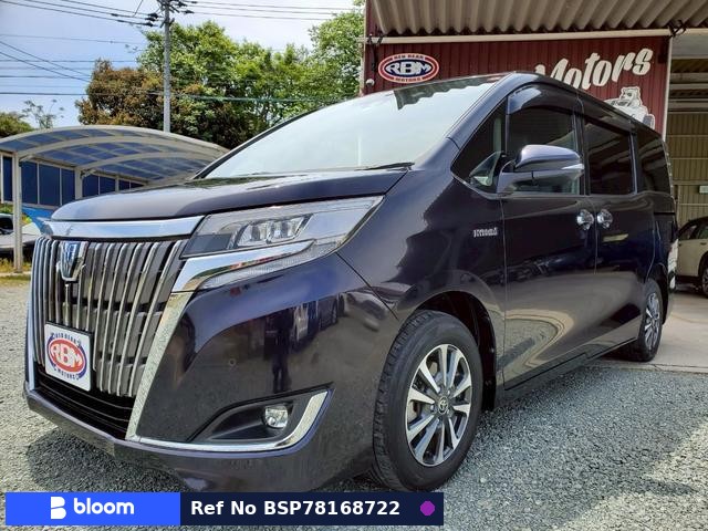 2019 Toyota Esquire