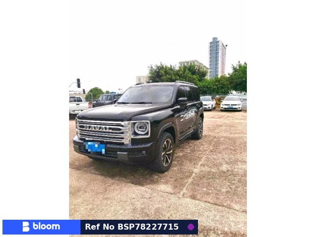 2024 Great Wall Haval H9
