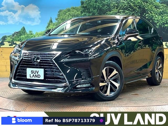 2018 Lexus NX