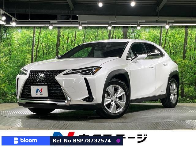 2019 Lexus UX