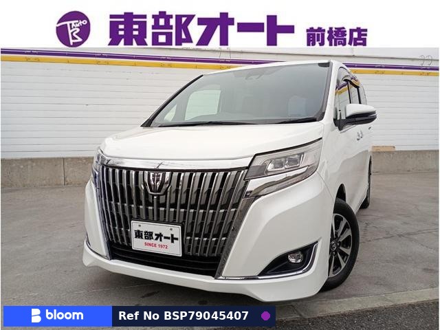 2018 Toyota Esquire