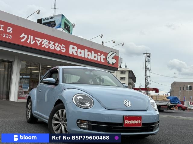 2013 Volkswagen THE Beetle