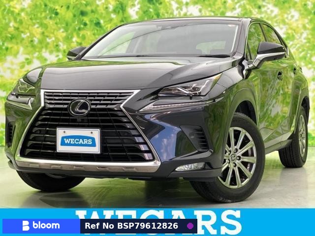 2018 Lexus NX