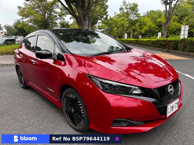 2022 Nissan Leaf