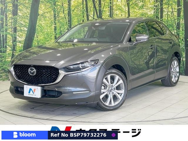 2019 Mazda CX-30