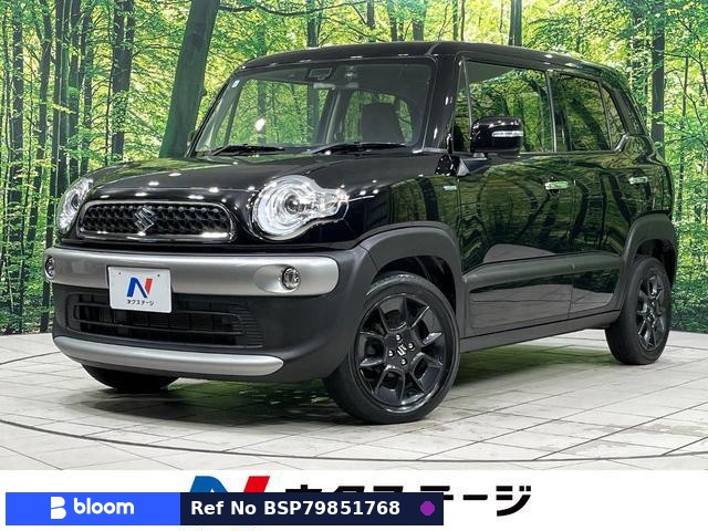 2019 Suzuki X BEE