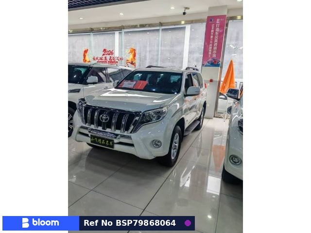 2010 Toyota Land Cruiser Prado