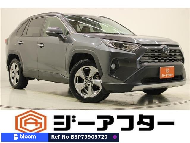 2019 Toyota RAV4
