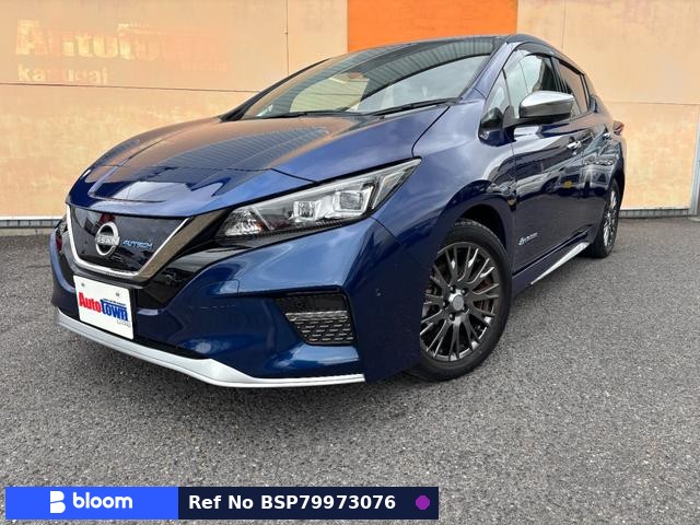 2021 Nissan Leaf