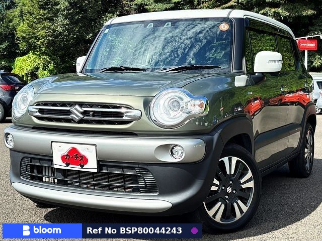 2023 Suzuki X BEE