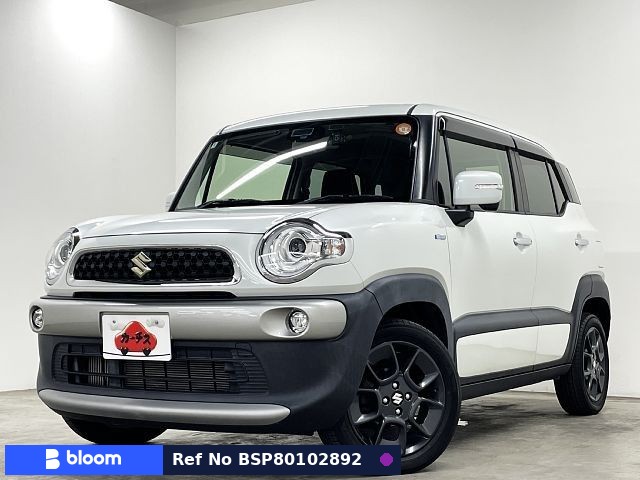 2018 Suzuki X BEE