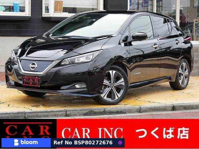 2021 Nissan Leaf
