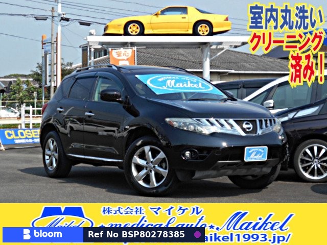 2010 Nissan Murano