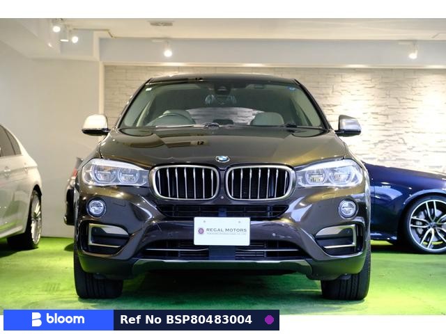 2019 BMW X6