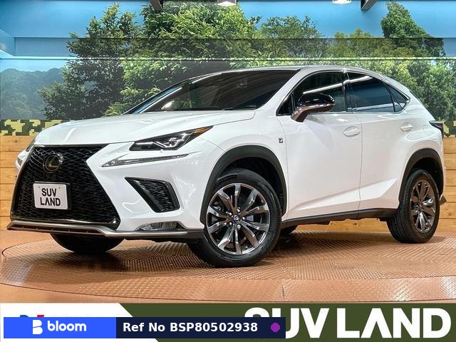 2018 Lexus NX