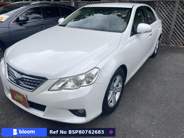 2010 Toyota Mark X