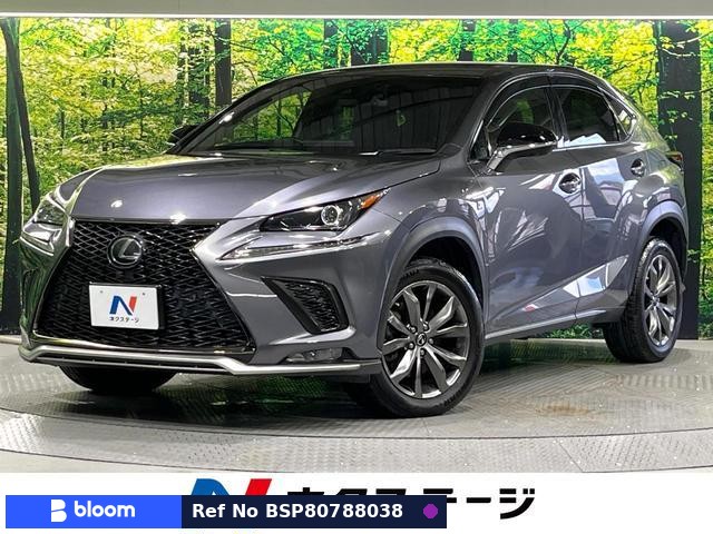 2018 Lexus NX