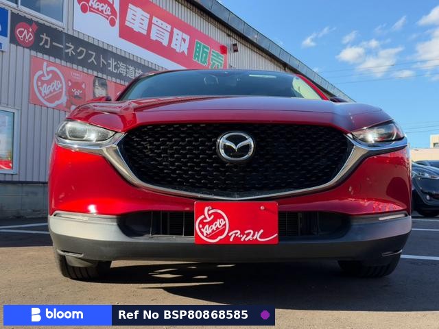 2019 Mazda CX-30