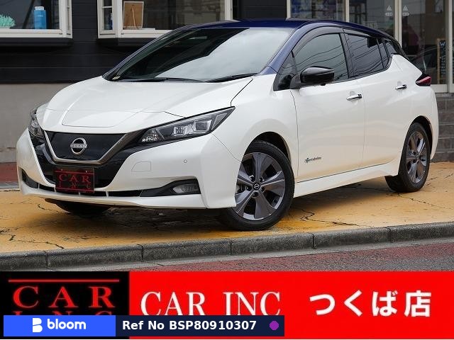 2021 Nissan Leaf