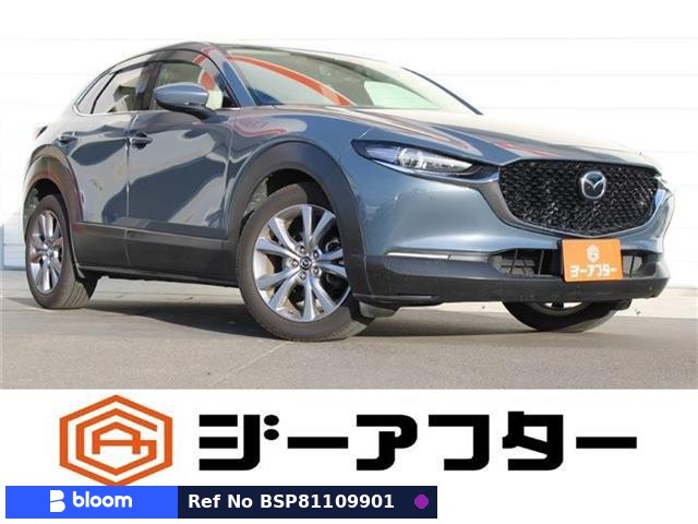 2019 Mazda CX-30