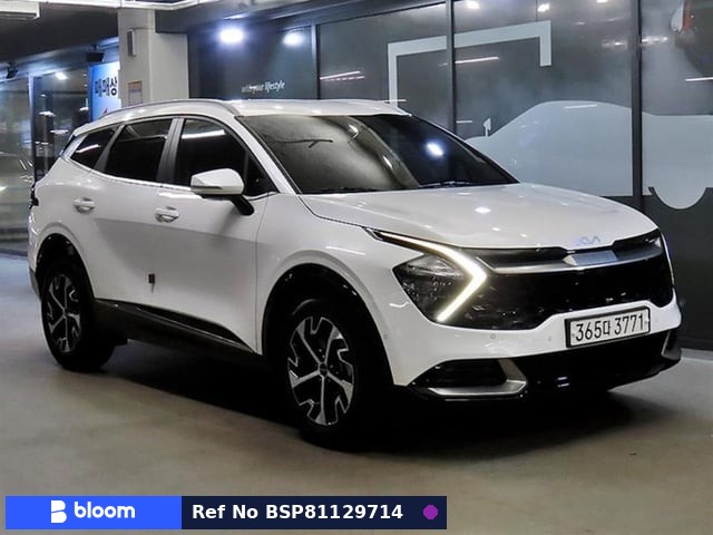 2022 KIA Sportage