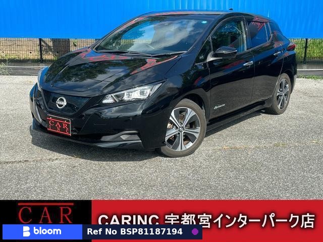2022 Nissan Leaf